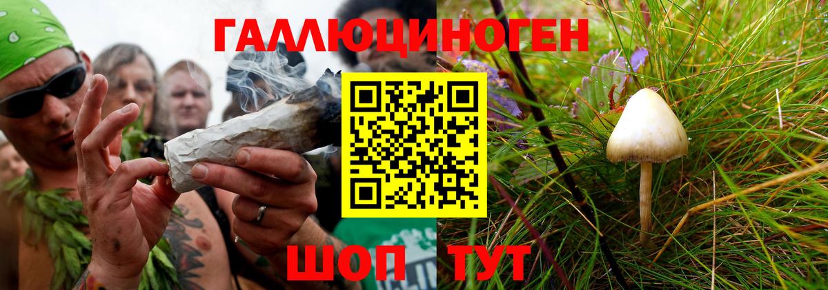 Прокопьевск  Псилоцибиновые грибы Cubensis  Галлюциногенные грибы прущие грибы  Вход с VPN 