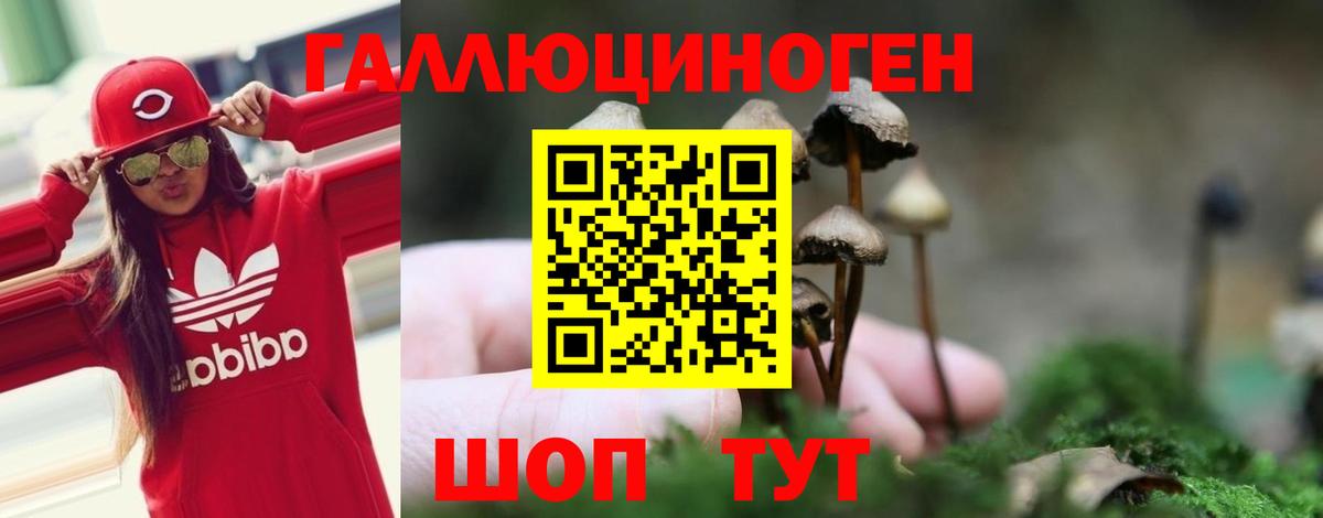 Псилоцибиновые грибы Magic Shrooms Прокопьевск